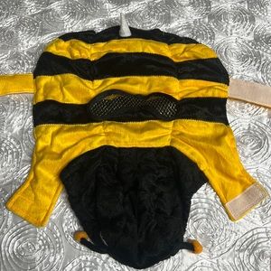 Bee Pet Halloween costume